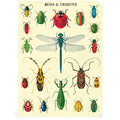 Mini Notizbuch - Bugs & Insects