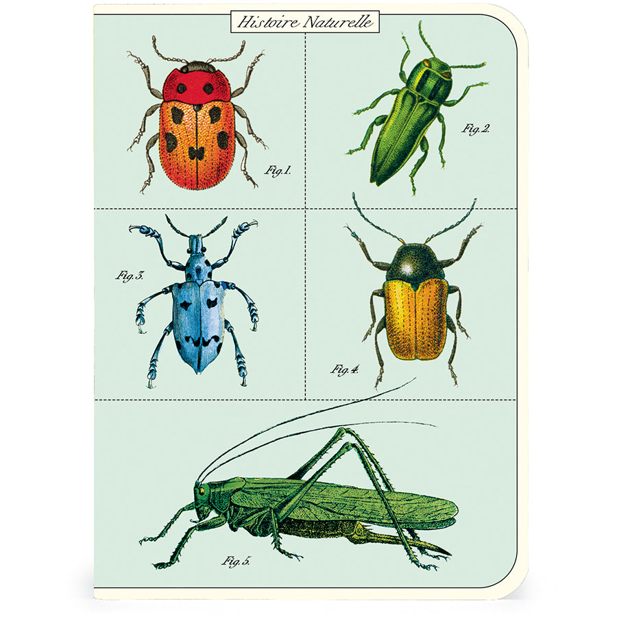 Mini Notizbuch - Bugs & Insects