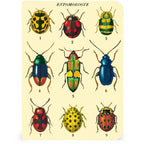 Mini Notizbuch - Bugs & Insects