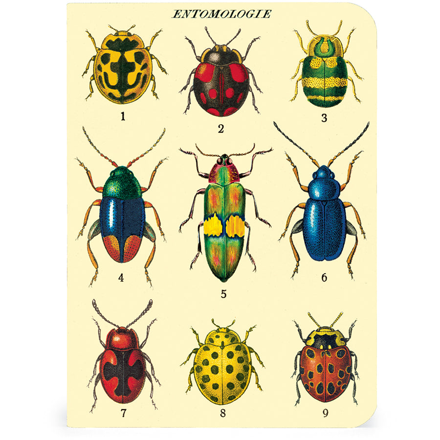 Mini Notizbuch - Bugs & Insects