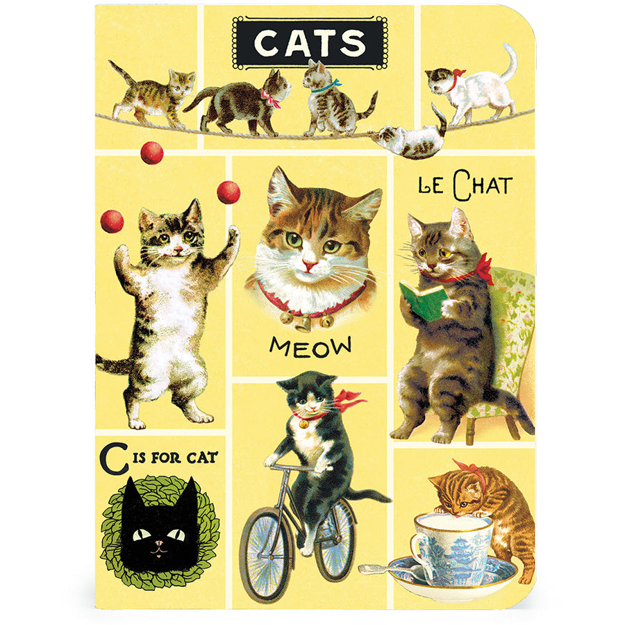 Mini Notizbuch - Cats