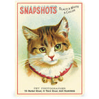 Mini Notizbuch - Cats