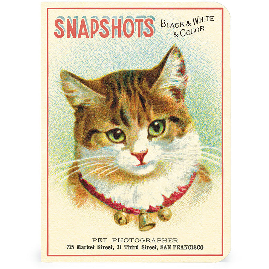 Mini Notizbuch - Cats