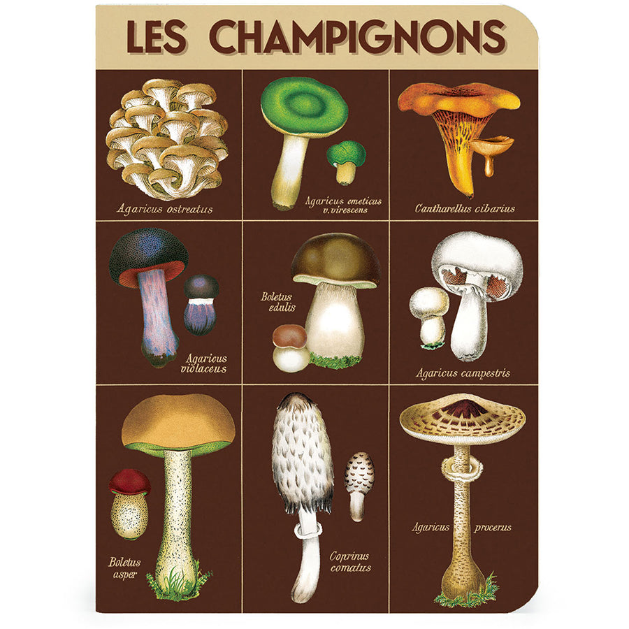 Mini Notizbuch - Foraging