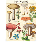 Mini Notizbuch - Foraging