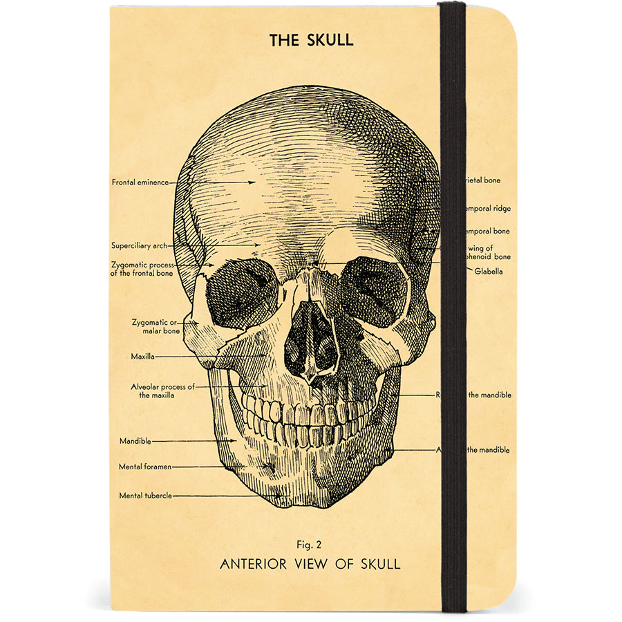 Notizbuch - Skull