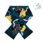 Schal - Tempting Jacob