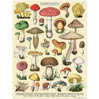 Puzzle - Mushrooms