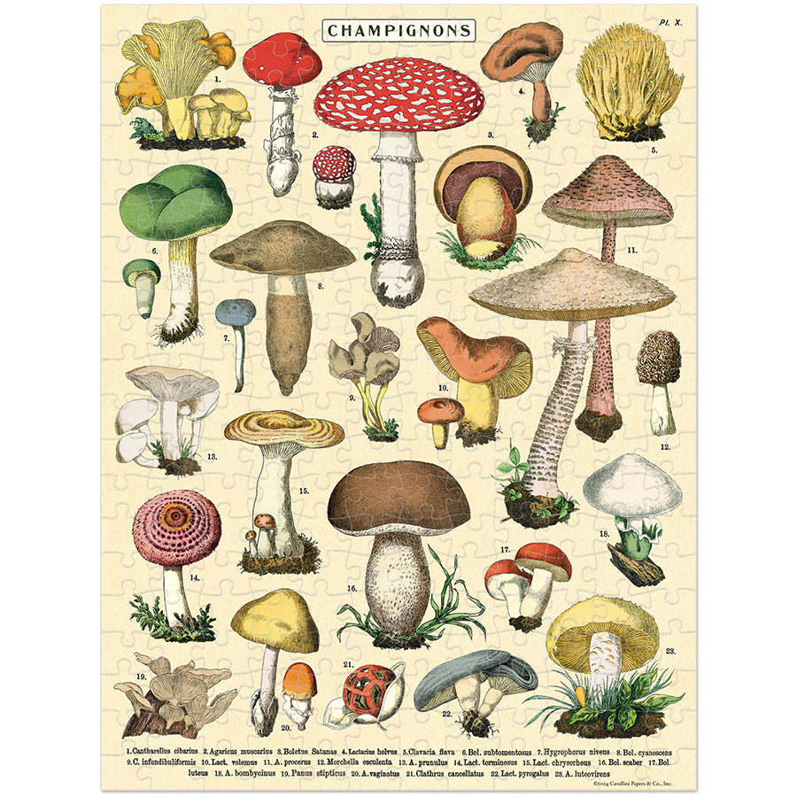 Puzzle - Mushrooms