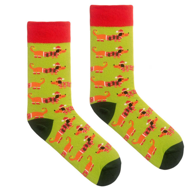 Socken - Festliche Dackel