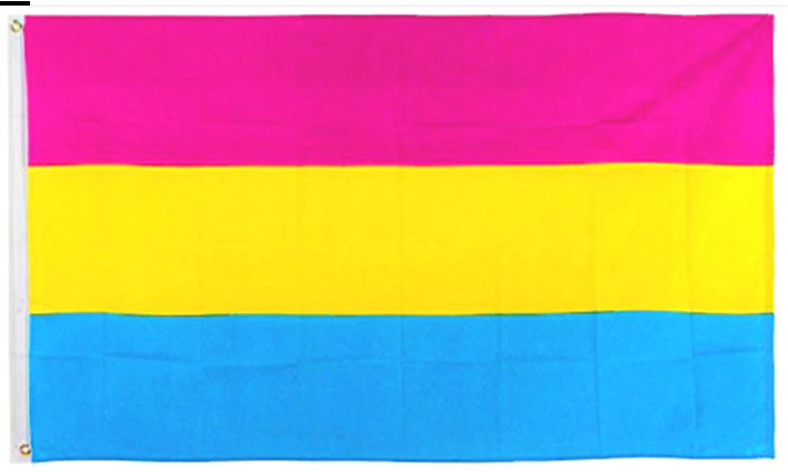 Pride Flags 90 x 150 cm