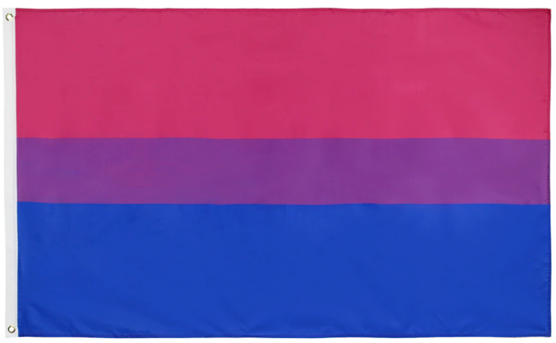 Pride Flags 90 x 150 cm