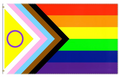Pride Flags 90 x 150 cm