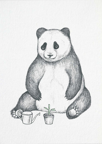 Postcard - Panda