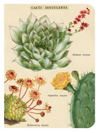 Mini Notizbuch - Succulents