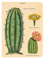 Mini Notizbuch - Succulents