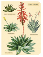 Mini Notizbuch - Succulents