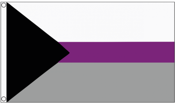 Pride Flags 90 x 150 cm