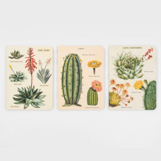 Mini Notizbuch - Succulents