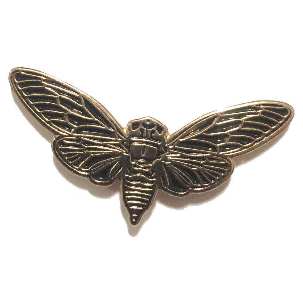 Cicada Pin