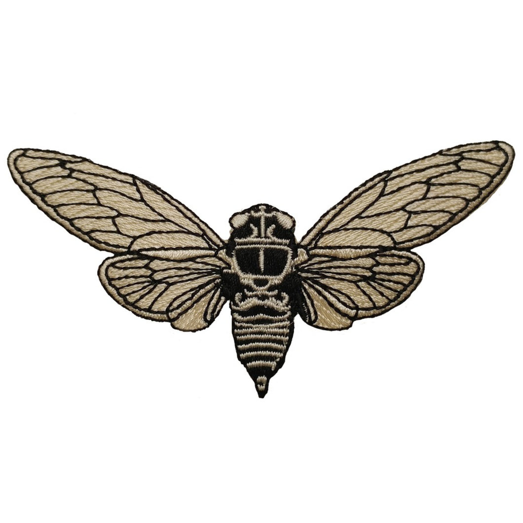 Patch - Cicada