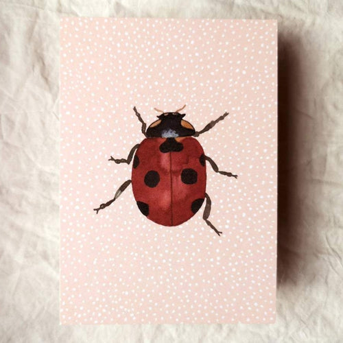 Postcard - Lady Bug