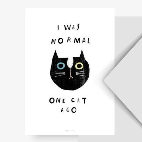 Postcard - One Cat Ago